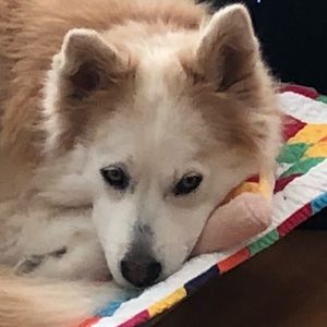 Meet your Posher, Skyler